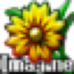 imagine-viewer-logo.png