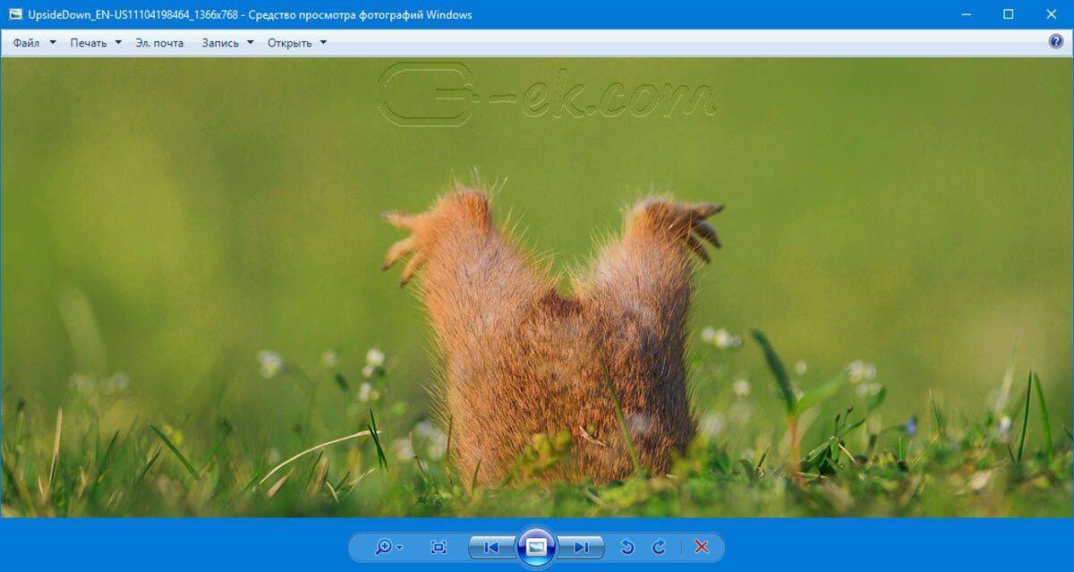 prosmotr-fotografij-v-windows-10.jpg