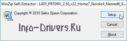 Epson-L805-1.png