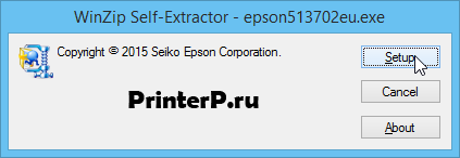 Epson-Perfection-V330-1.png