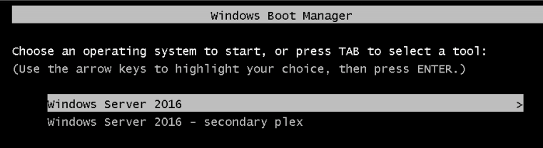 windows-server-2016-secondary-plex.png