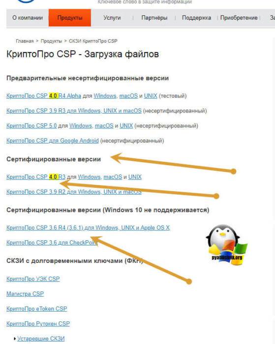 skachat-kriptopro-dlya-windows-10-03.jpg