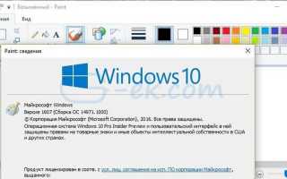 Как открыть программу Paint на компьютере Windows 10
