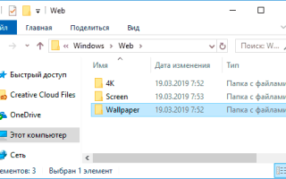 Как скачать фоновые изображения экрана блокировки Spotlight в Windows 10
